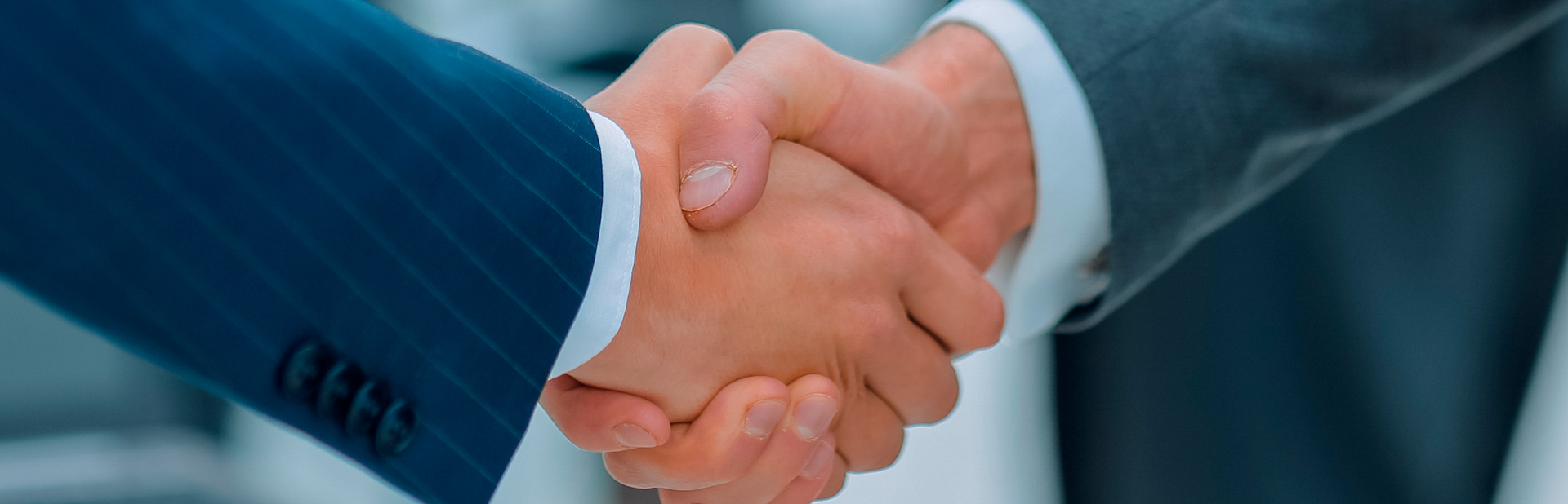 Partners Header